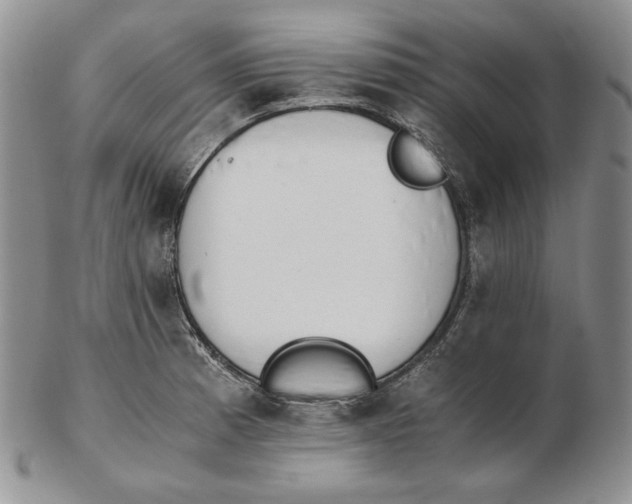 X0000102371185200808221732