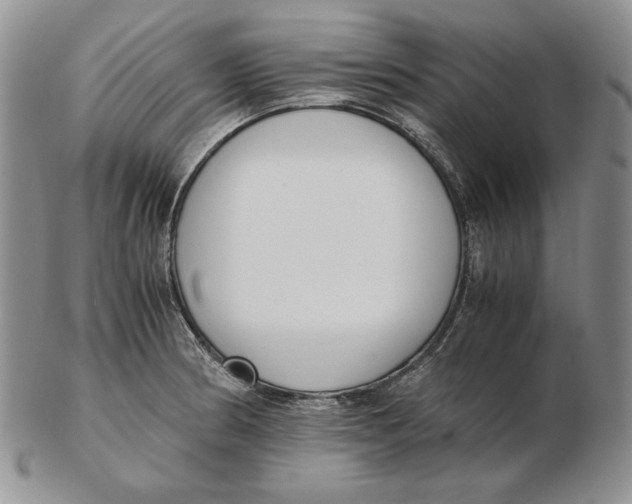 X0000102371186200808221732