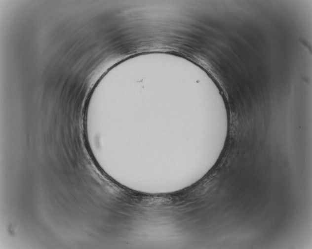 X0000102371187200808221732