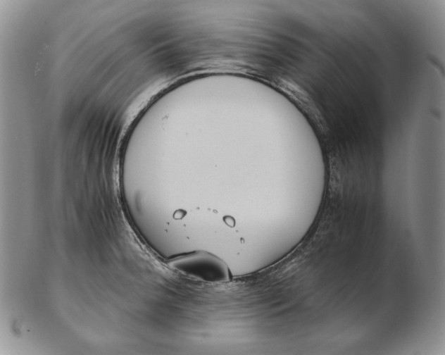 X0000102371188200808221732