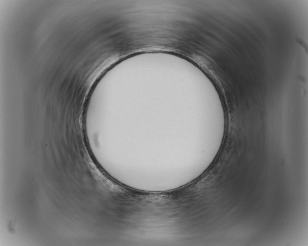 X0000102371189200808221732