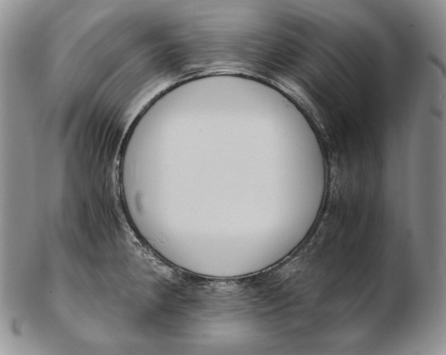 X0000102371190200808221732