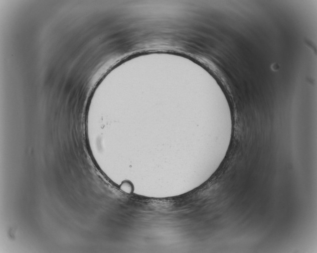 X0000102371191200808221732