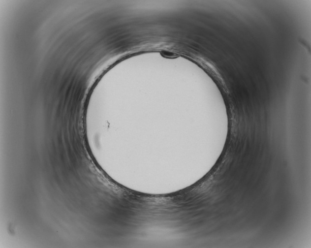 X0000102371192200808221732