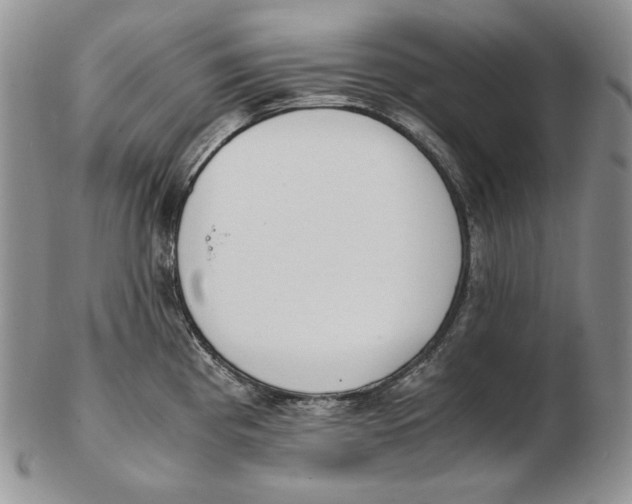 X0000102371193200808221732