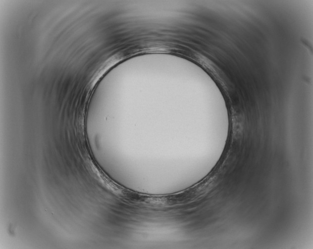 X0000102371194200808221732