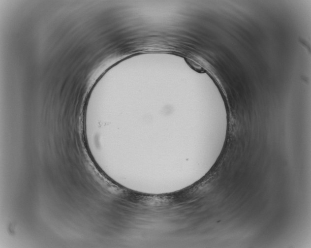 X0000102371195200808221732