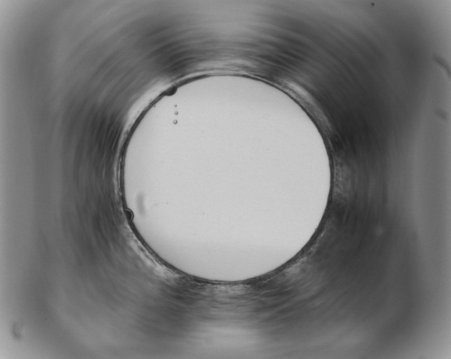 X0000102371196200808221732