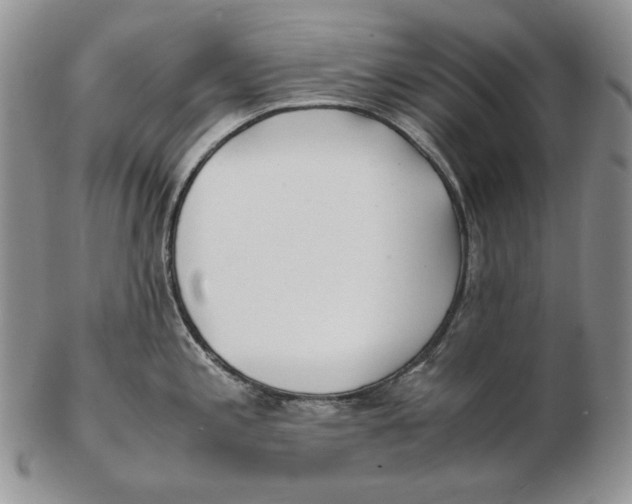 X0000102371197200808221732