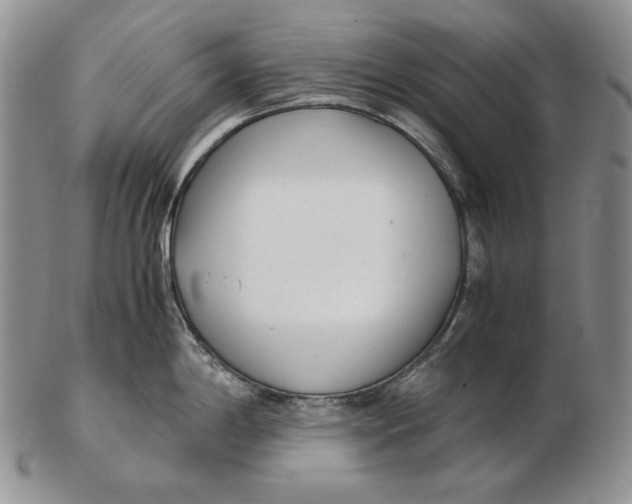 X0000102371198200808221732