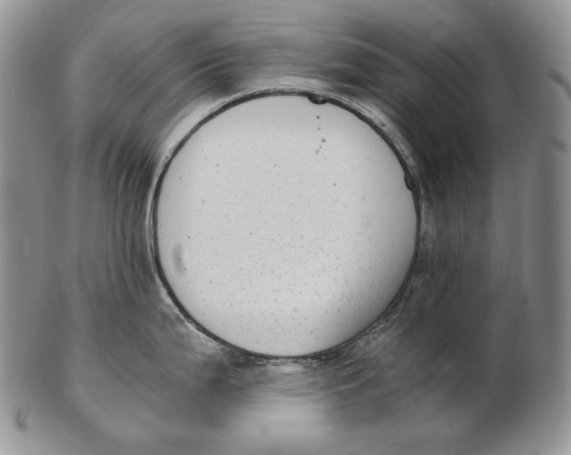 X0000102371199200808221732