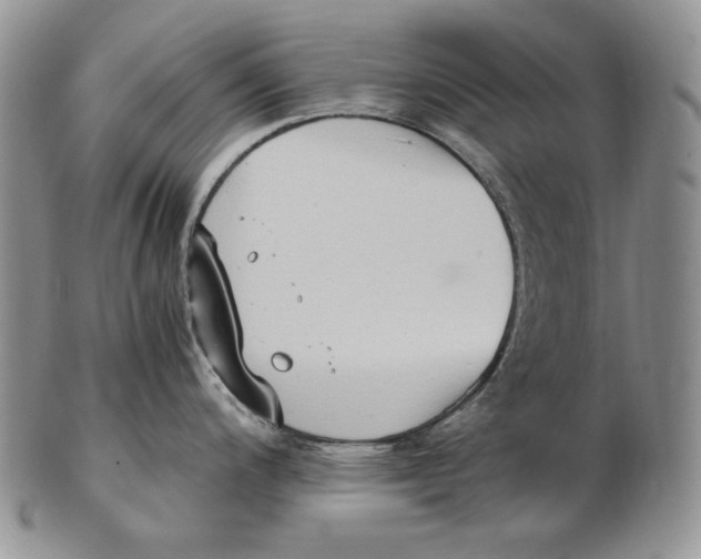 X0000102371200200808221732