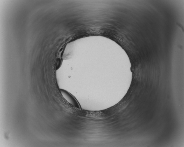 X0000102371201200808221731