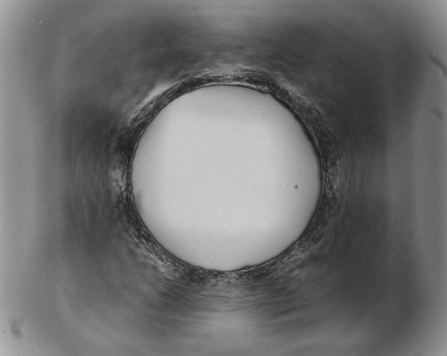 X0000102371206200808221731