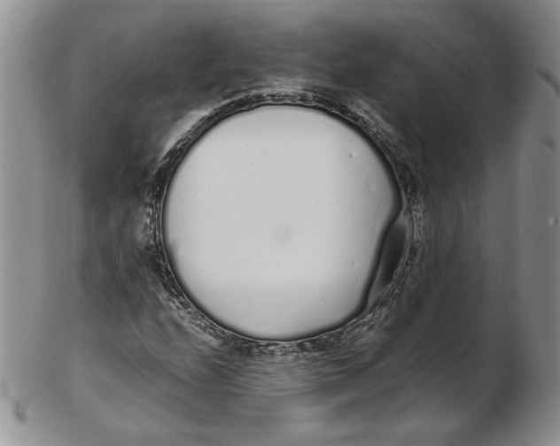 X0000102371208200808221731