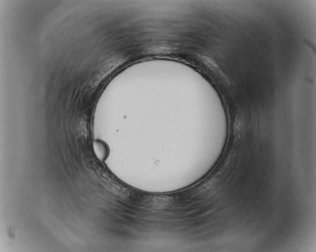 X0000102371209200808221731