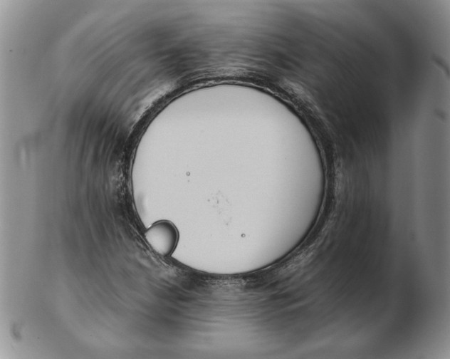 X0000102371210200808221731