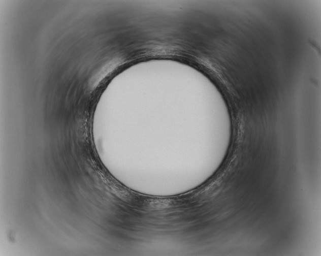 X0000102371211200808221731