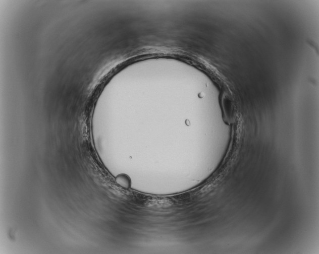 X0000102371215200808221731