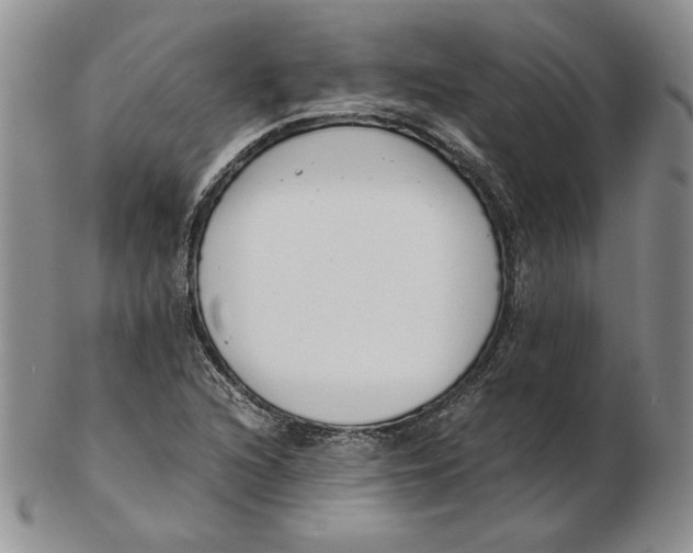 X0000102371216200808221731