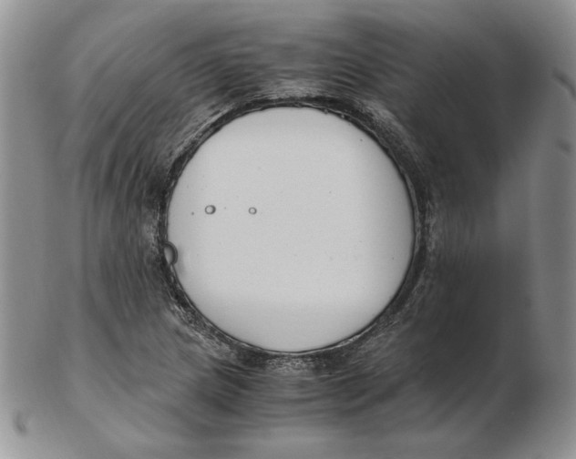 X0000102371217200808221731