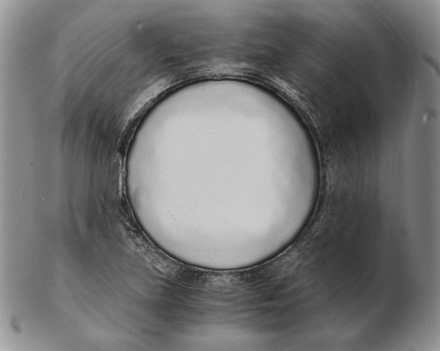 X0000102371219200808221731