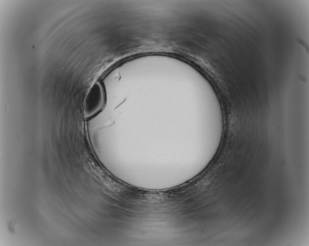 X0000102371220200808221731