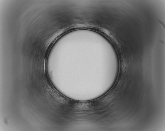 X0000102371221200808221731