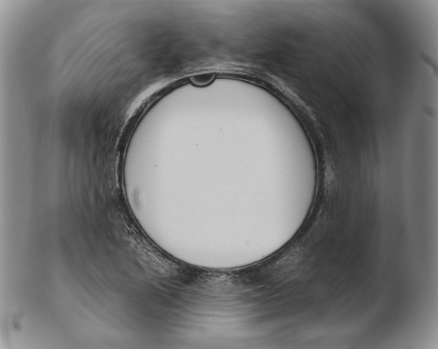 X0000102371222200808221731