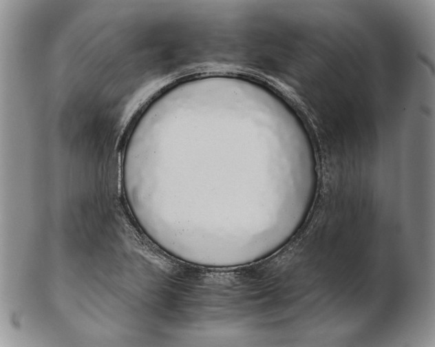 X0000102371223200808221731