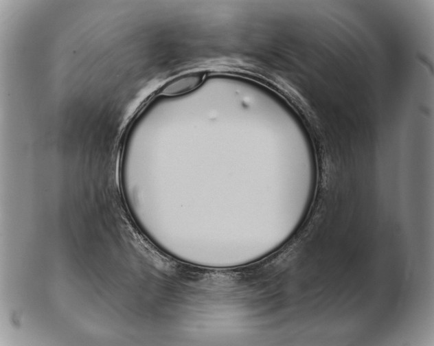 X0000102371224200808221731