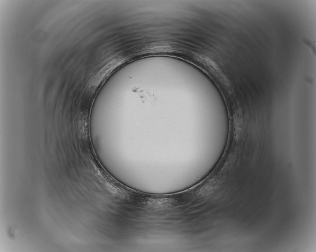 X0000102371225200808221731