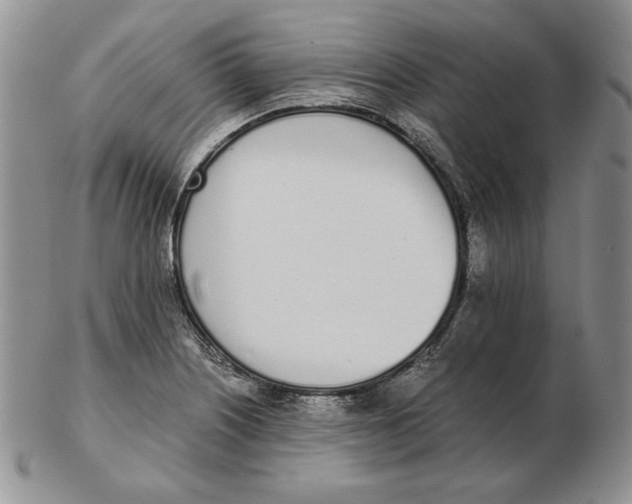 X0000102371226200808221731