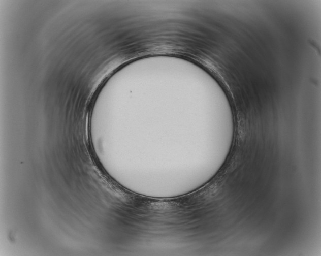 X0000102371227200808221731