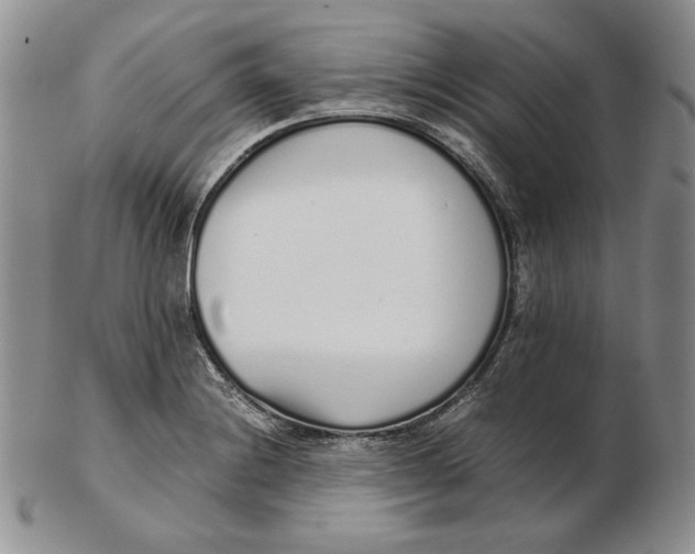 X0000102371228200808221731