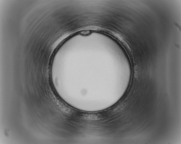 X0000102371229200808221731