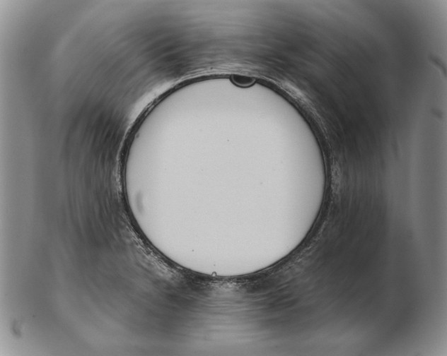 X0000102371230200808221731