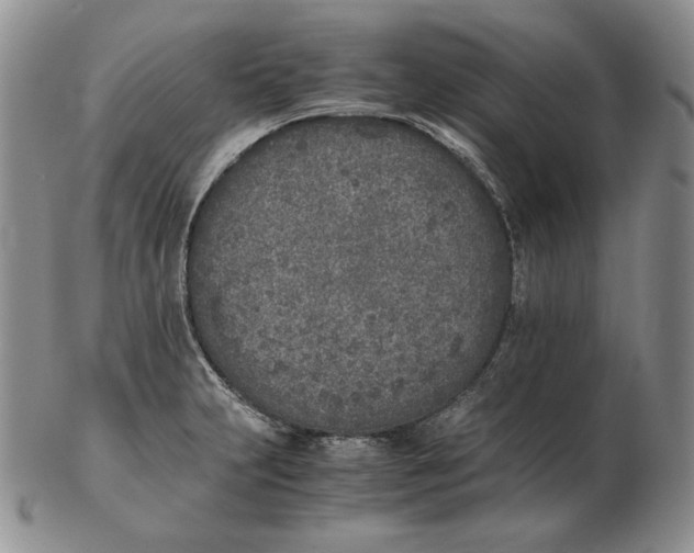 X0000102371231200808221731