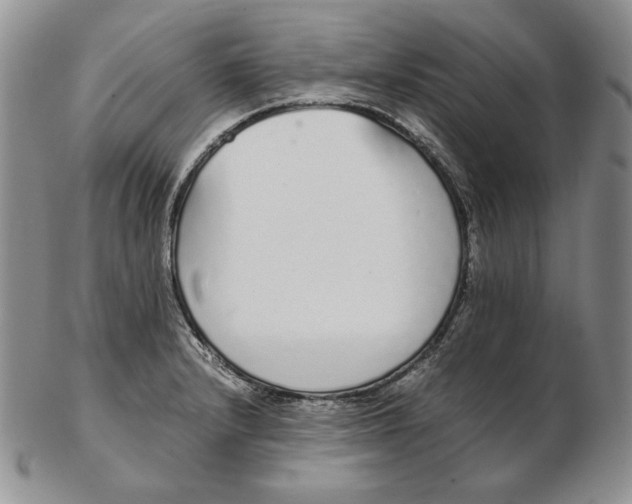 X0000102371232200808221731