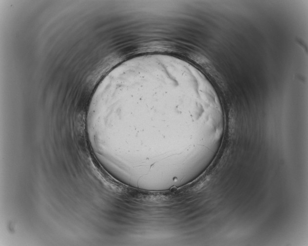 X0000102371233200808221731