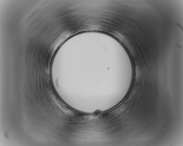 X0000102371234200808221731