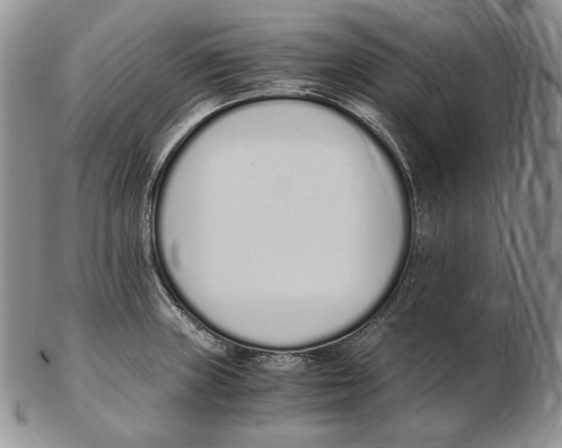 X0000102371235200808221731