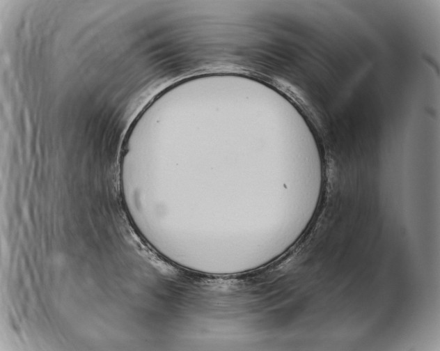 X0000102371236200808221731