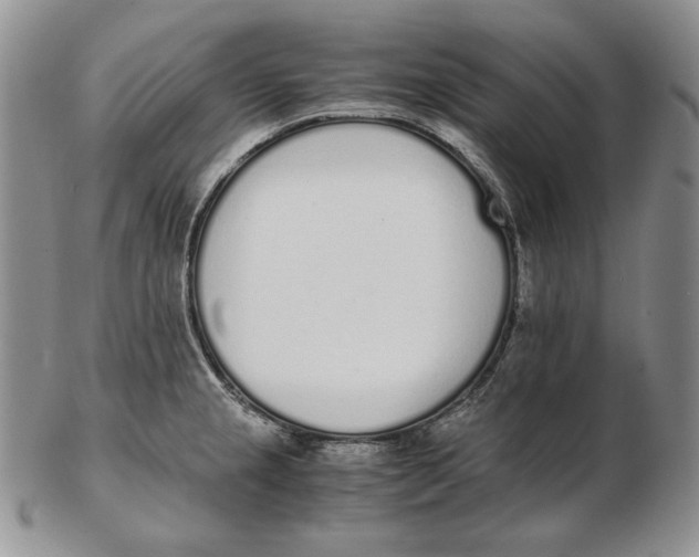 X0000102371237200808221731