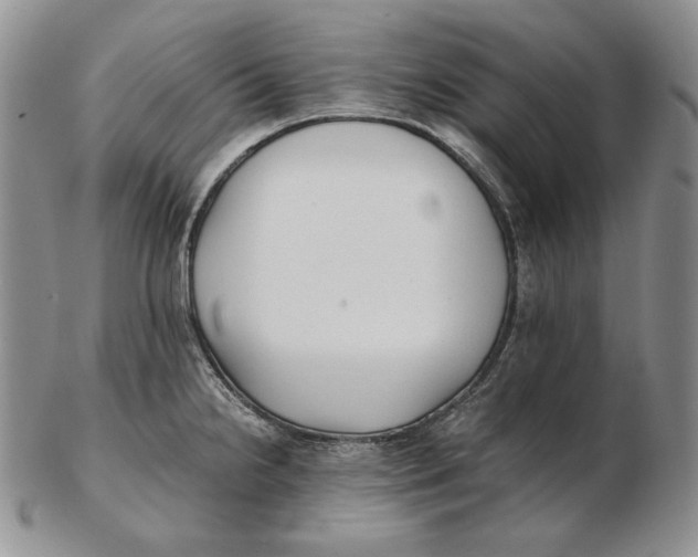 X0000102371238200808221731