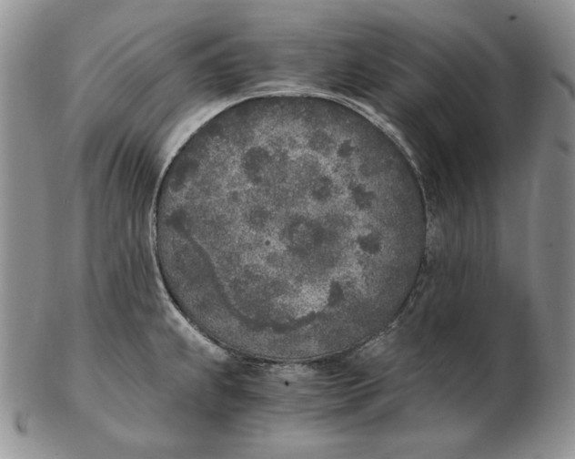 X0000102371239200808221731