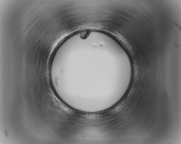 X0000102371240200808221731