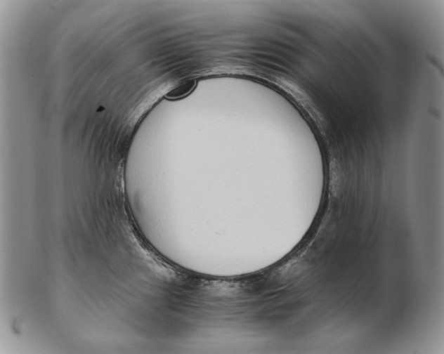 X0000102371241200808221731