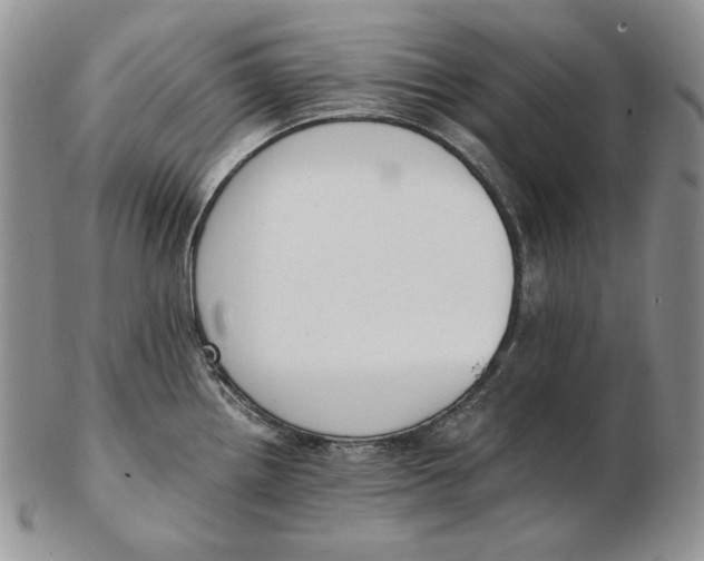 X0000102371242200808221731