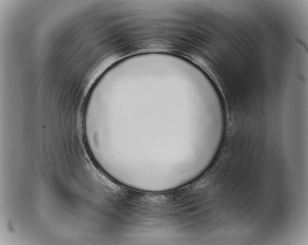 X0000102371243200808221731